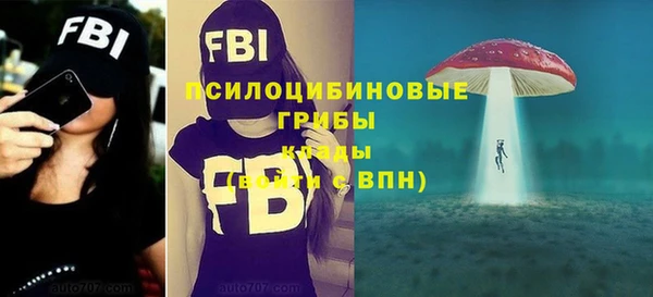 гашишное масло Новодвинск