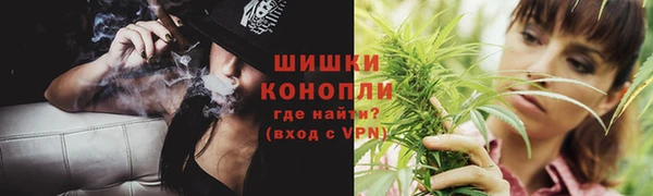 каннабис Новозыбков