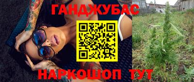 крисы Кинель