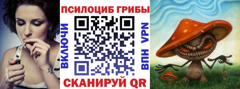 Псилоцибиновые грибы Psilocybe OMG зеркало Менделеевск